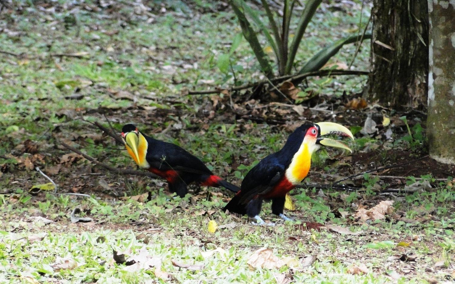 Yasi Yatere Reserva Agroecologica エル・ソベルビオ エクステリア 写真