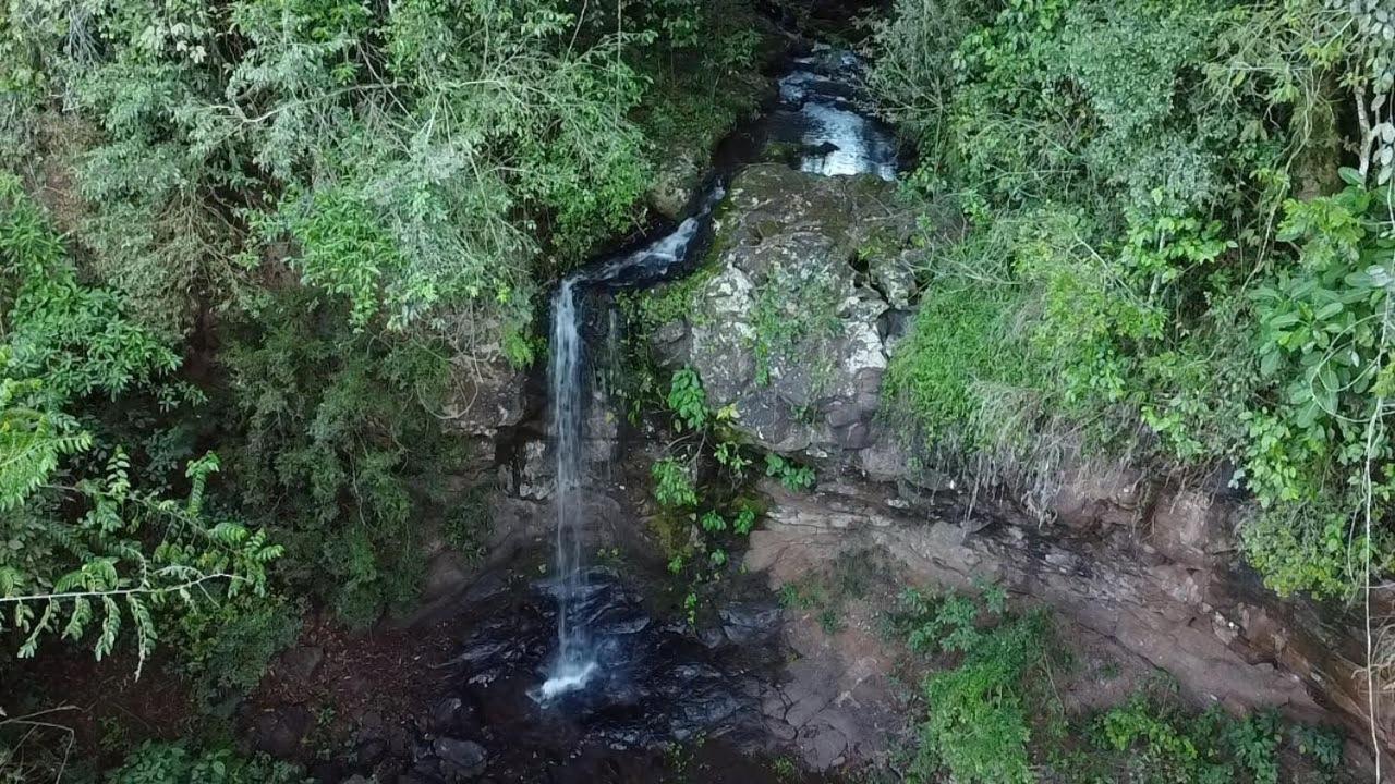Yasi Yatere Reserva Agroecologica エル・ソベルビオ エクステリア 写真