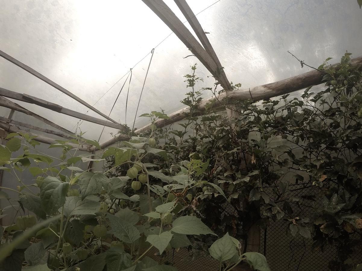 Yasi Yatere Reserva Agroecologica エル・ソベルビオ エクステリア 写真