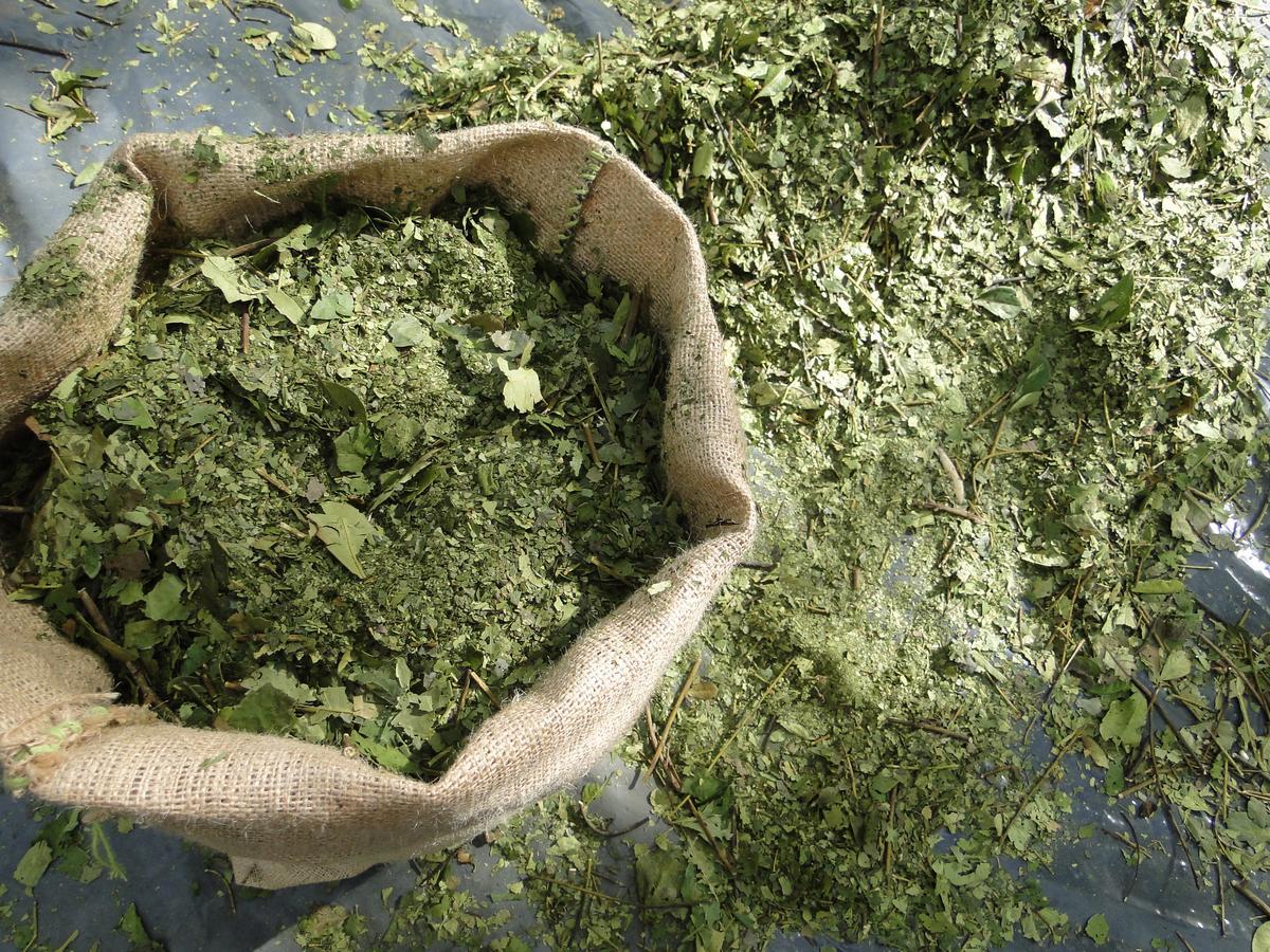Yasi Yatere Reserva Agroecologica エル・ソベルビオ エクステリア 写真