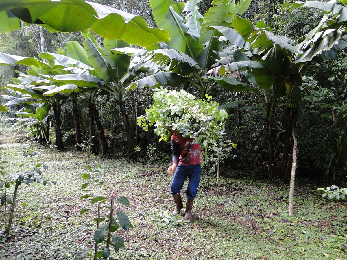 Yasi Yatere Reserva Agroecologica エル・ソベルビオ エクステリア 写真