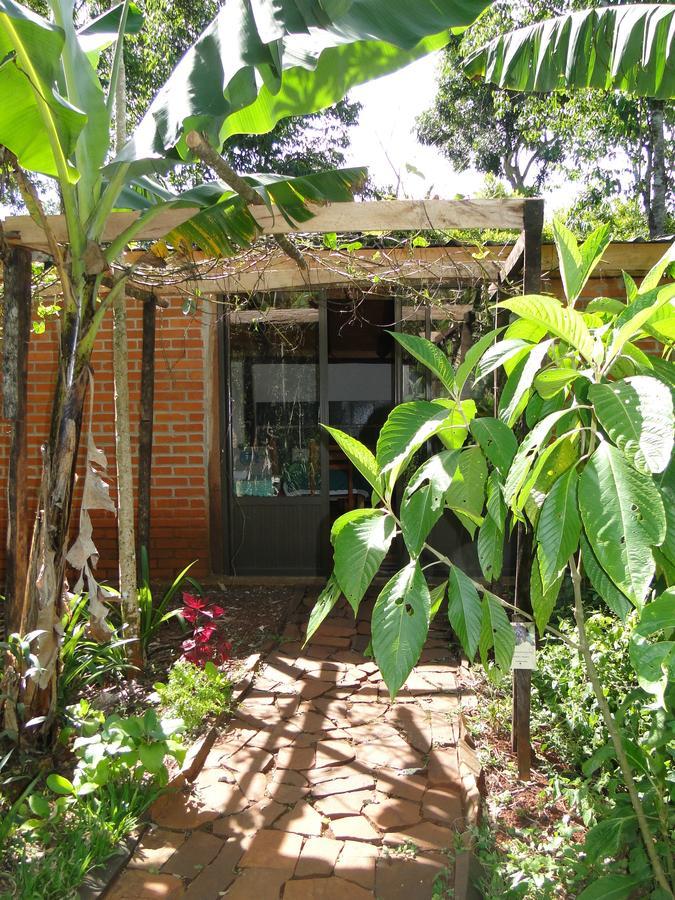 Yasi Yatere Reserva Agroecologica エル・ソベルビオ エクステリア 写真